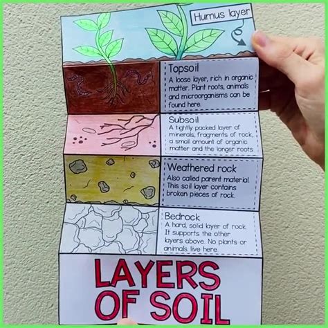 Soil Layers Worksheet For Kids