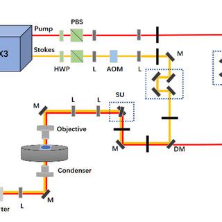 Schematic Of A Own Lab Built SRS Imaging Setup HWP Half Wave Plate