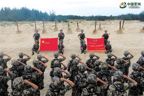 高清大图丨各部队多种形式庆祝“八一”建军节