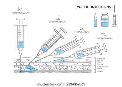 4 939 Types Of Injections Images Stock Photos Vectors Shutterstock