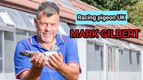 Racing Pigeon UK Legend Mark Gilbert S Unmatched Success In Pigeon