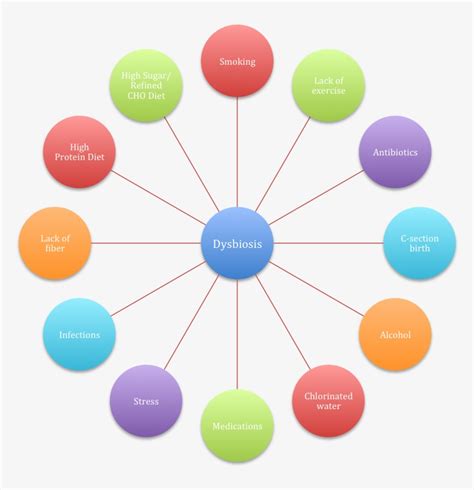 Gut Health Dysbiosis Causes - Common Causes Of Dysbiosis - Free ...