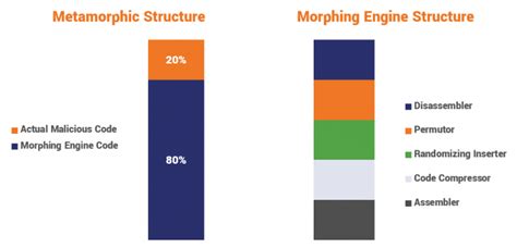 Polymorphic Malware and Metamorphic Malware: What You Need to Know