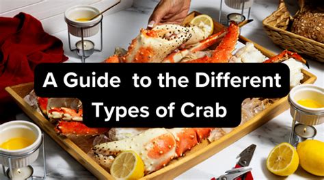 A Guide to the Different Types of Crab – King Crab Legs Company