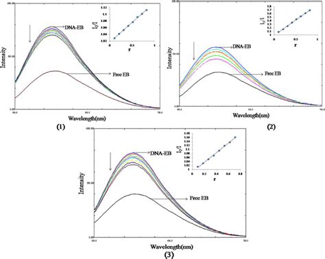 Emission Spectra Of Eb Bound To Ct Dna In The Absence And Presence Of