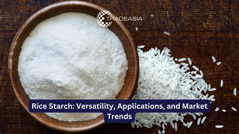 versatile ingredient  food industry rice starch