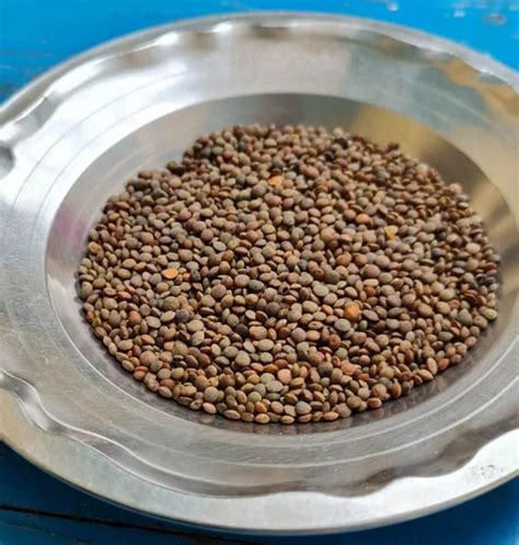 Black Brown Sabut Masoor Dal High In Protein Packaging Size Kg At