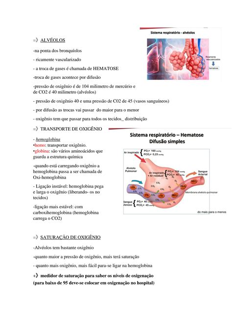 Solution Sistema Respirat Rio Studypool