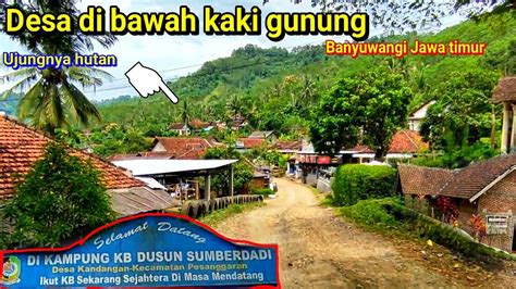 Desa Sumber Air Banyuwangi Sumberdadi Kandangan Pesanggaran Jawa Timur