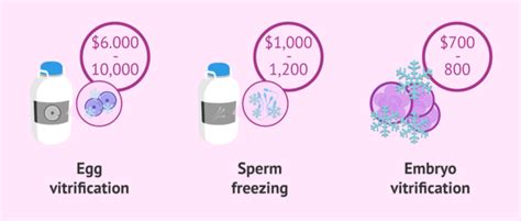 Cost Of Gamete And Embryo Cryopreservation