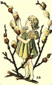 Pussy Willows Down By The Brook