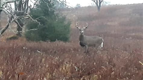 New York Deer Hunting Season 2020 Scouting Trip 2 Catskill Mountains