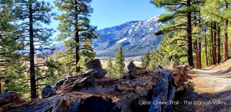 Carson Valley Trail Association Complete New Jacks Valley Loop Trail