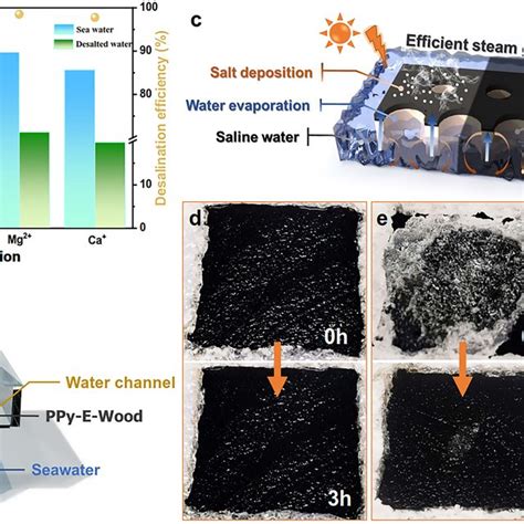 Ppy E Wood Is Used For Photothermal Conversion And Oilwater