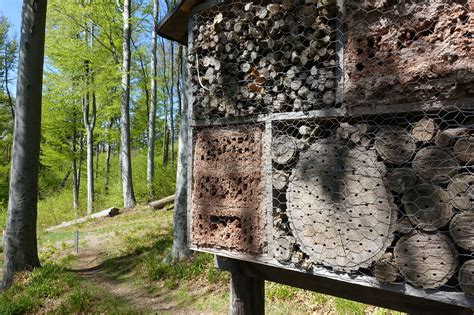 schönsten Themenwege im Thüringer Wald Outdooractive