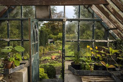 Content in a Cottage: Wonderful Greenhouse Interior