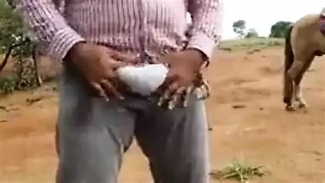 Ursos Free Gay Fat Blowjob Porn Video B XHamster