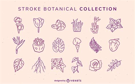 Vectores Gráficos de botánica para descargar