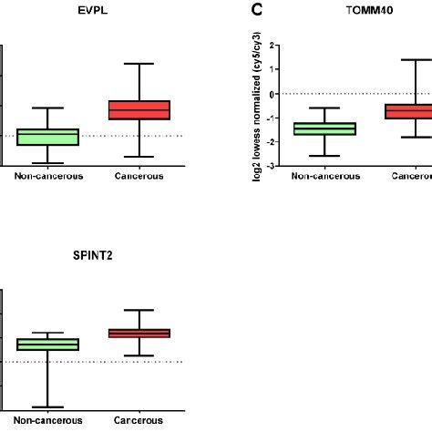 Heatmap Of Selected Mrnas From Cancerous And Non Cancerous Tissues