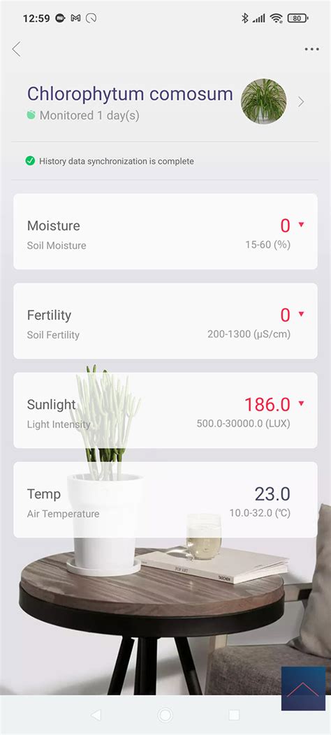 Flower Care - APP - Xiaomi MI Flora Sensor