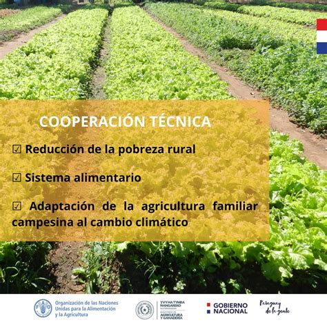 FAO Paraguay on Twitter Áreas prioritarias del trabajo de la FAO