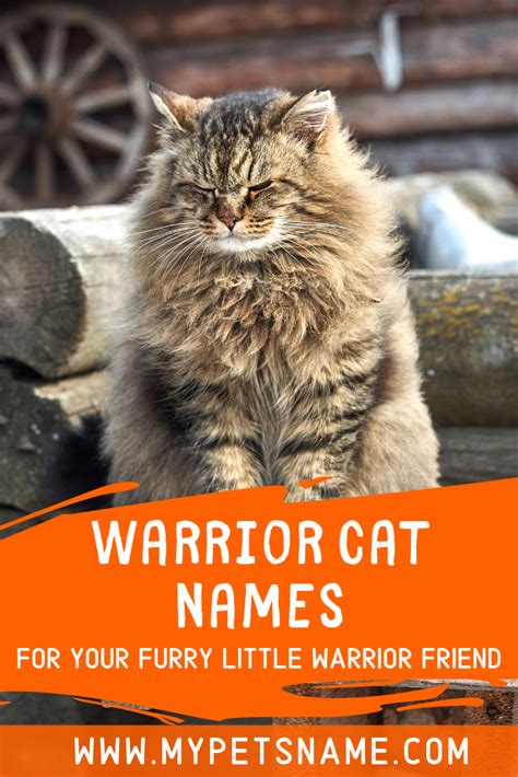 Are You A Big Warrior Cats Fan And Have Spent A Considerable Amount Of