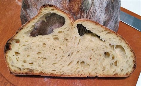 Pane Tipo Di Altamura April 20 2016 The Fresh Loaf