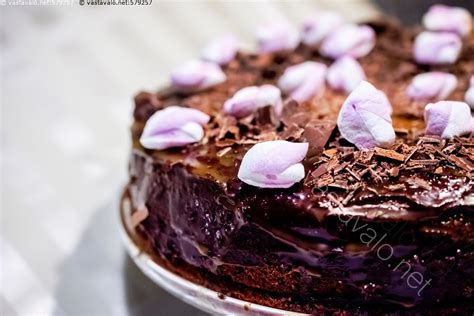 Kuva Naked Cake Kakku Suklaa Suklainen Suklaakakku Vaahtokarkki