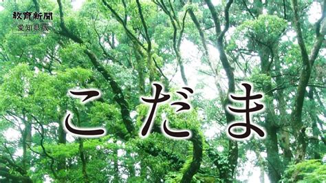 （こだま）司馬遼太郎生誕100年