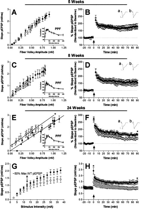 A Long Cag Repeat In The Mouse Sca1 Locus Replicates Sca1 Features And