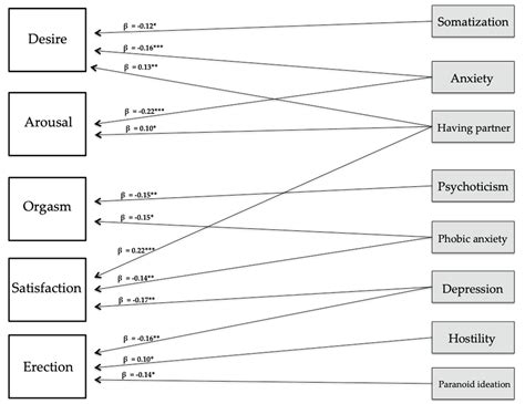 Ijerph Free Full Text Association Between Psychopathological