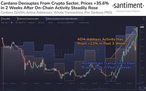 卡尔达诺市值上涨 36，两项关键指标创三个月新高 0x资讯