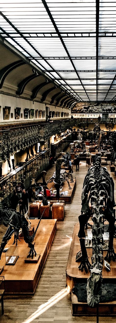 7 Weird Museums With Strange Exhibits That Will Leave You Stunned