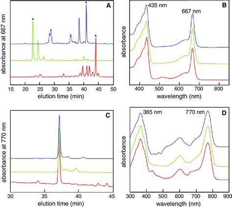 Hplc Elution Profiles Monitored At Nm For Bchl C A And Nm For