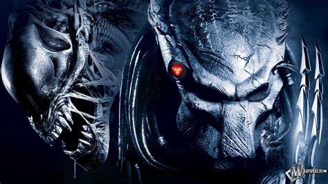 Avp Alien Vs Predator Fonds D Cran Hd Arri Re Plans Wallpaper