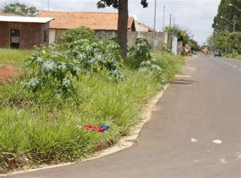 Cachorro Fareja E Mulheres Encontram Suposto Feto Humano Dentro De