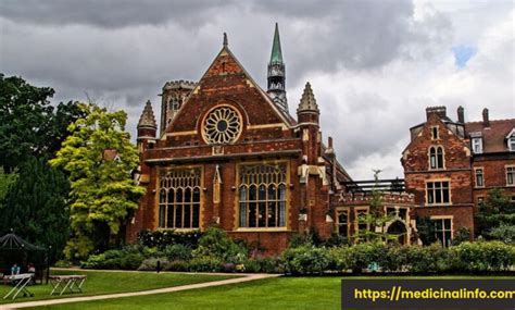 The Top 10 Universities in the USA - medicinalinfo.com