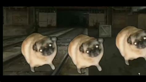 мопси танцюють під гімн моноліта - YouTube