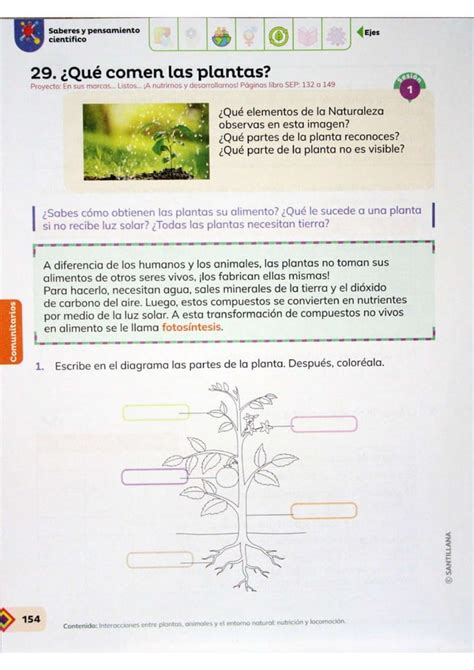 4 GUIA SANTILLANA ESCENARIOS Pdf