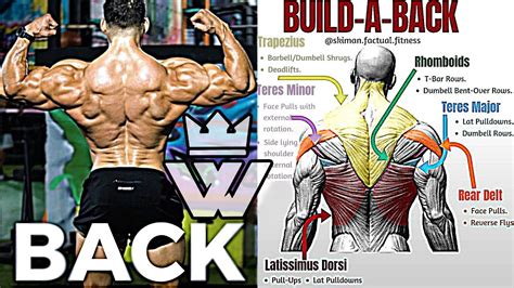 14 Exercises To Build A Big Back Youtube