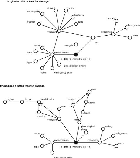 How To Prune A Fig Tree Diagram - Wiring Diagram Database