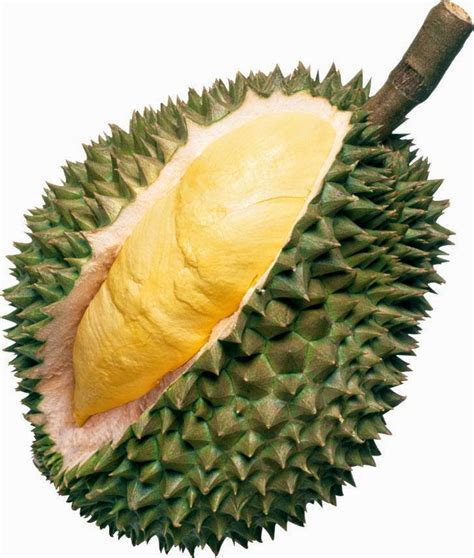 Gambar Buah Durian Lengkap | Info Buah Durian