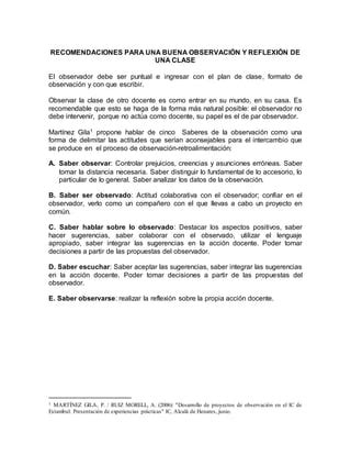 Recomendaciones Para El Observador De Clase PDF