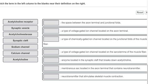 Solved Atch The Term In The Left Column To The Blanks Near Chegg