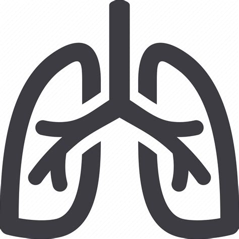 Anatomy Lungs Pulmonology Icon Download On Iconfinder