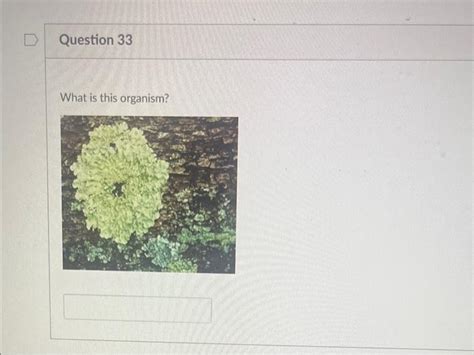 Solved Question 33 What is this organism? | Chegg.com 