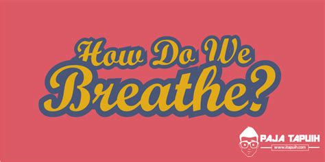 explanation text    breathe  terjemahannya paja tapuih