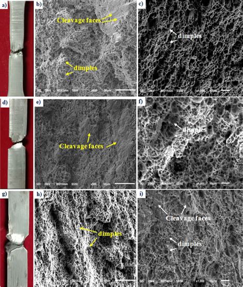 Sem Fractographs Of The Specimen Extracted From Top Region Tested