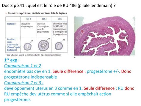 PPT Parti VII chapitre 4 La maîtrise de la procréation PowerPoint