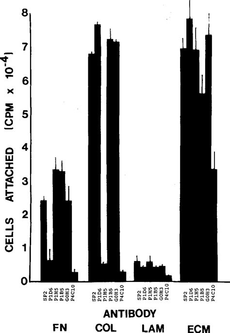 Figure 2 From Distinct Functions For Integrins Alpha 3 Beta 1 In Focal